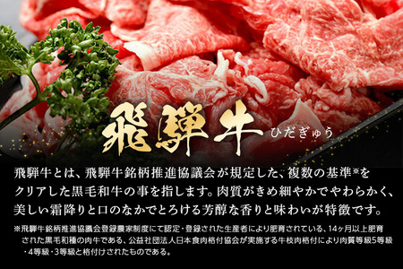 飛騨牛 A5等級【冷蔵配送】切り落とし【500g】着日指定可 飛騨牛