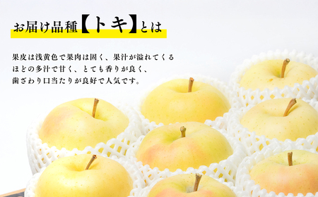 【レビューキャンペーン】【10月発送】親子三代最高位のトキ約5kg【全国ふじコンテスト最高賞受賞農園・平川市広船産りんご】[hi-0003-019]