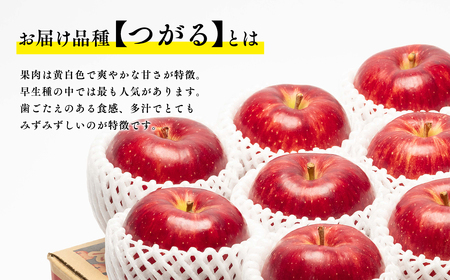 【レビューキャンペーン】9月発送 つがる 約5kg 青森県平川市産[hi-0003-021]