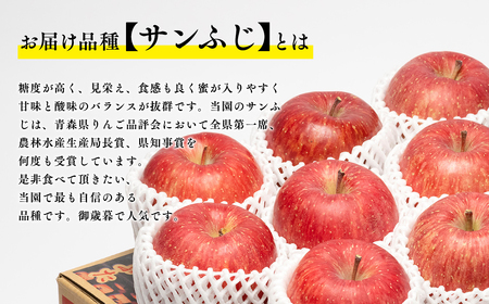 【レビューキャンペーン】1月発送 サンふじ 約3kg 青森県平川市産[hi-0003-025]