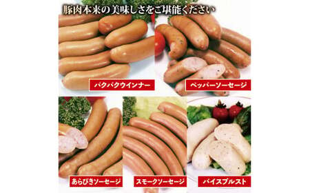 ソーセージ 5種 セット 720g ウインナー 【 ソーセージ 】