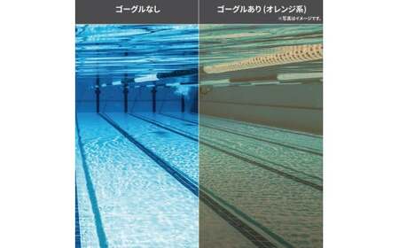 ゴーグル スイミングゴーグル スワンズ 水泳 ゴーグル ゴーグル