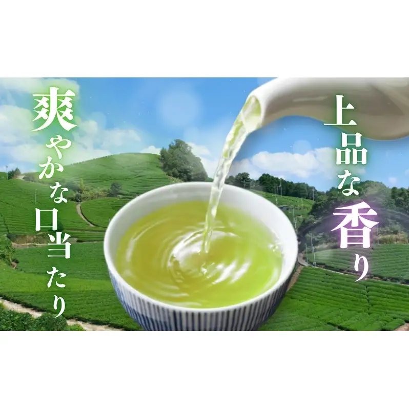 お茶 いしだ茶屋 あさつゆ 100g 5袋 煎茶 茶葉 贈答