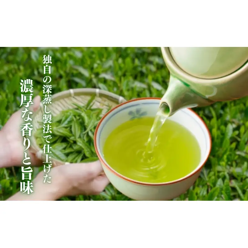 お茶 いしだ茶屋 深蒸し茶 ふくよ香 100g 5袋 煎茶