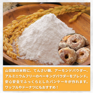 米粉 パンケーキ用 900g 【 米粉 】