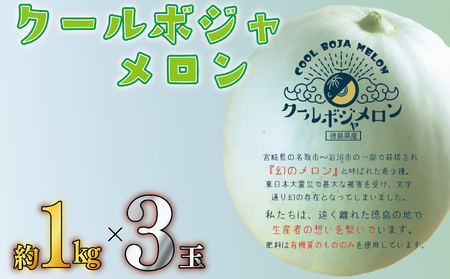 メロン 3kg 3玉 クールボジャ 希少種 メロン