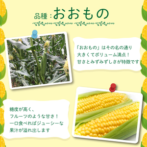 とうもろこし 5kg  おおもの とうもろこし