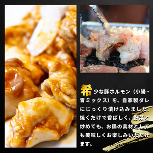 豚肉 やみつきホルモン 味噌ダレ 2kg ホルモン ホルモン ホルモン
