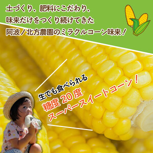 とうもろこし みらい 約4kg 12～18本 コーン スイートコーン とうもろこし 