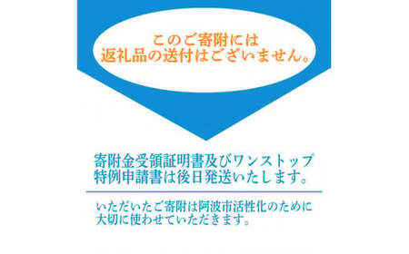 【 返礼品なし 100,000円  】 徳島県 阿波市 への 寄附 応援寄附金