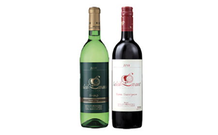 ソレイユ・ルバン ヤマソービニオン 750ml ＆ セミドライ 720ml セット F2Y-5575