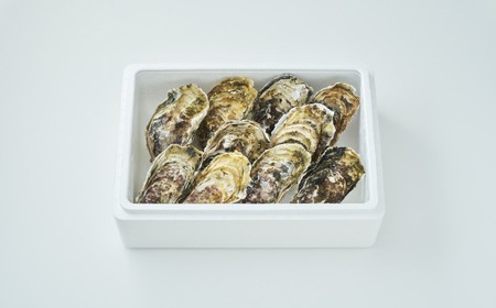 『一本松牡蠣』 生食用殻付き牡蠣 10個セット