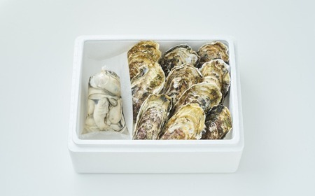 『殻付き牡蠣 (生食用) 10個 & むき身牡蠣 (加熱用) 250g セット』 一本松牡蠣