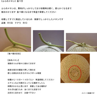 2026年夏発送【先行受付】 ふらのメロン 赤肉 秀大2玉 計4kg以上 富良野メロン 赤肉 めろん 北海道 甘い 大きい 果物 フルーツ