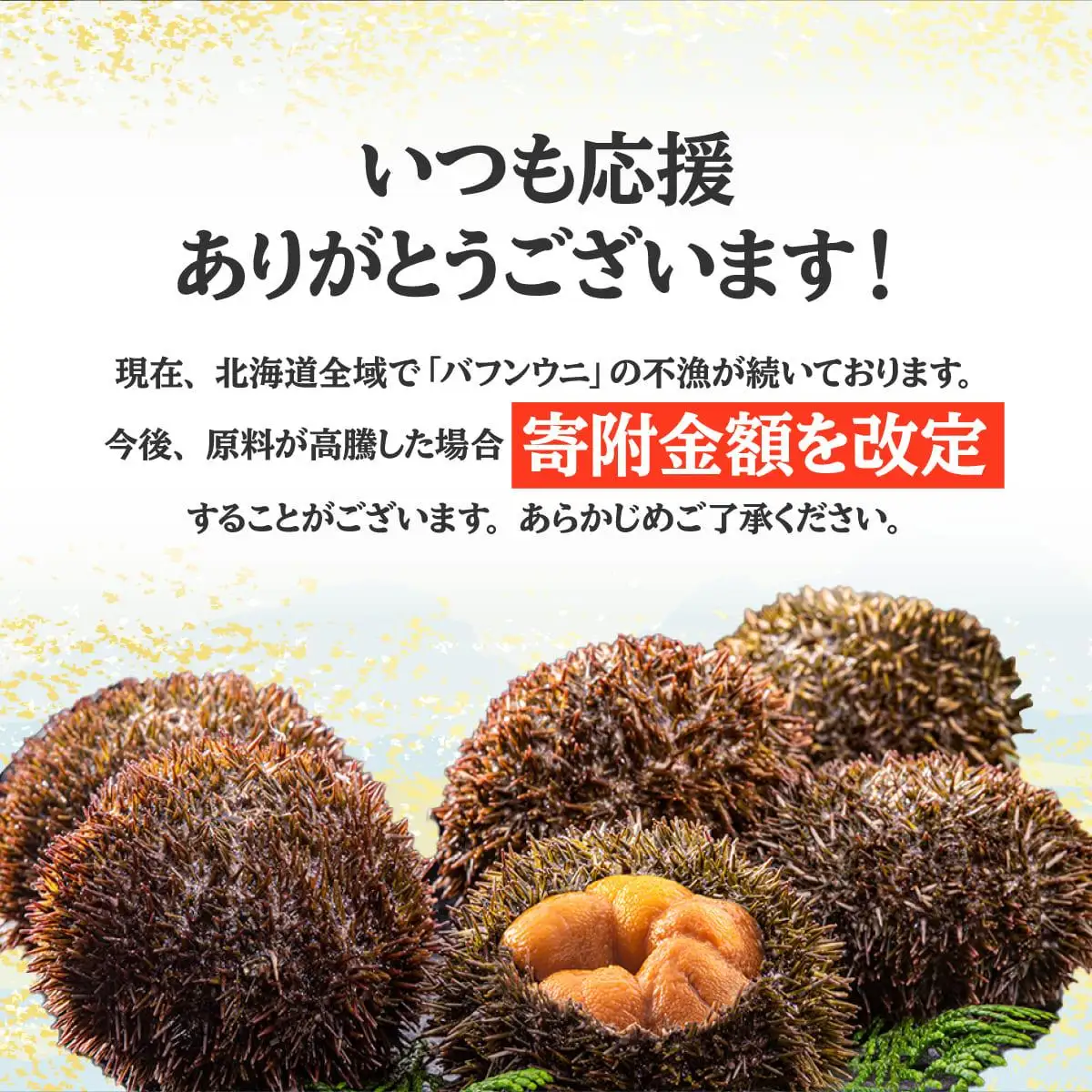 [5525-0993]【定期便3カ月】北海道 噴火湾産 塩水 バフンウニ 100g 2パック うに ウニ 雲丹 海鮮 海の幸 魚介類 ウニ丼 お寿司 濃厚 無添加 産地直送 産直 お取り寄せ 山村水産 送料無料