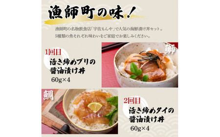 【5回定期便】土佐の海鮮丼セット（ブリ・タイ・カンパチ・マグロ・カツオ）各4Pずつ 漬け丼の素 鰤 ぶり 鯛 たい 鮪 まぐろ 鰹 かつお かんぱち 新鮮 魚 おかず【企業組合　宇佐もん工房】 [BQAB024]