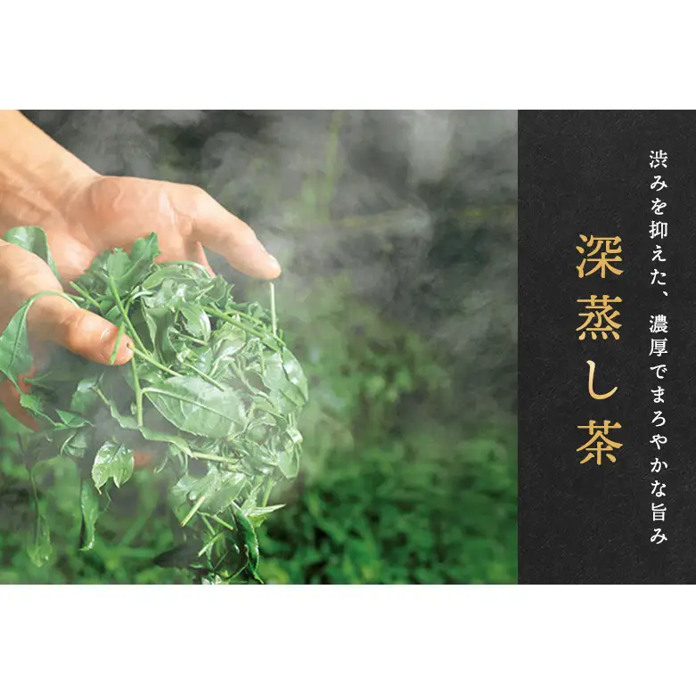 宇治深蒸し煎茶「松の匠」1kg（250g×4本）〈緑茶 茶葉 宇治
