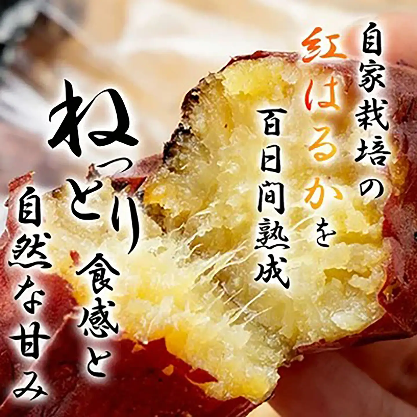 先行予約 焼き芋 超熟焼きいも 約1500g 個包装化粧箱