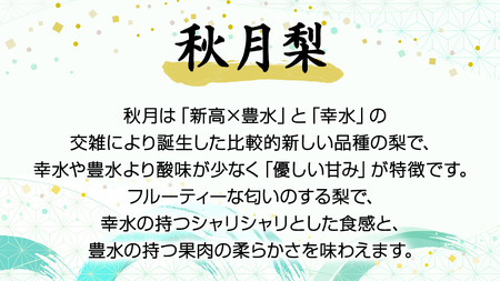《 先行予約 》 茨城県産 梨 秋月 ( 約5kg )【2026年9月上旬頃より発送開始】