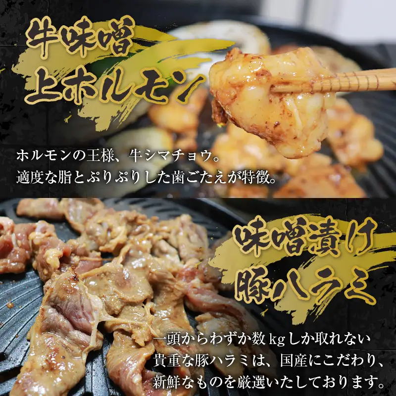 越前ホルモン屋 味噌漬け 人気ホルモンセット（計1kg）約8～10人前 ／ 味付け肉 豚肉 牛肉 小分け タレ漬け 焼肉 バーベキュー 冷凍 人気 キャンプ飯 BBQ 焼くだけ 時短調理 [aw001-a011]