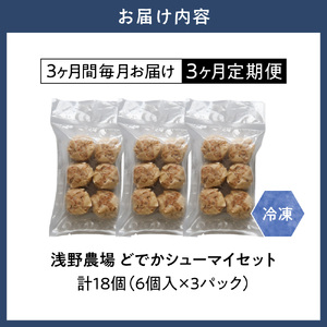 浅野農場どでかシューマイセット 計54個 3ヶ月定期便 