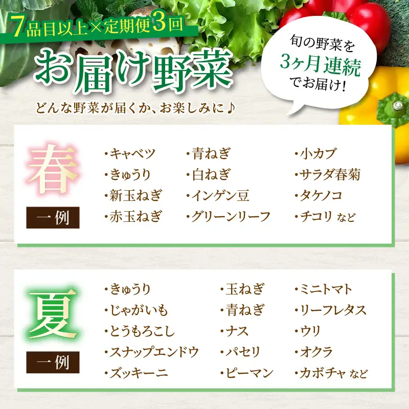 【3ヶ月連続お届け】農家直送 旬の野菜セット 7品目以上 1箱 ／ 定期便 3回 季節 野菜 ボックス BOX セット セレクト 農家 おまかせ 多品目 旬 詰め合わせ 根菜 葉物 [aw028-a001]
