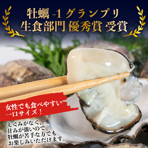 【生食用】 牡蠣 25個 生牡蠣 生食 殻付き 英虞湾産 シングルシードオイスター 「アマテラス」 牡蠣