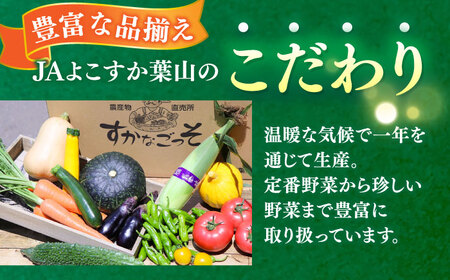 よこすか野菜セット  [AKFO001]野菜