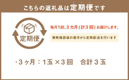 【3ヶ月定期便】静岡県産 高級 アローマメロン 小玉1玉 約0.9kg以上×小玉1玉×3回 計約2.7kg以上 化粧箱入 果物 フルーツ メロン めろん 青肉 高級ブランドメロン ブランドメロン 高級メロン 贈答
