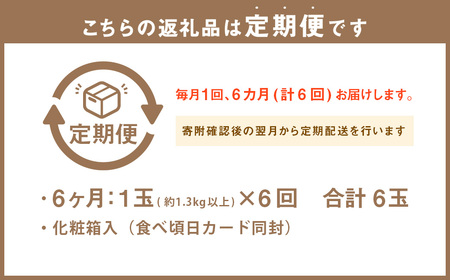 【6ヶ月定期便】静岡県産高級 アローマメロン 白等級 中玉1玉 約1.3kg以上×中玉1玉×6回 計約7.8kg以上 化粧箱入 果物 フルーツ メロン めろん 青肉 高級ブランドメロン ブランドメロン 高級メロン 贈答