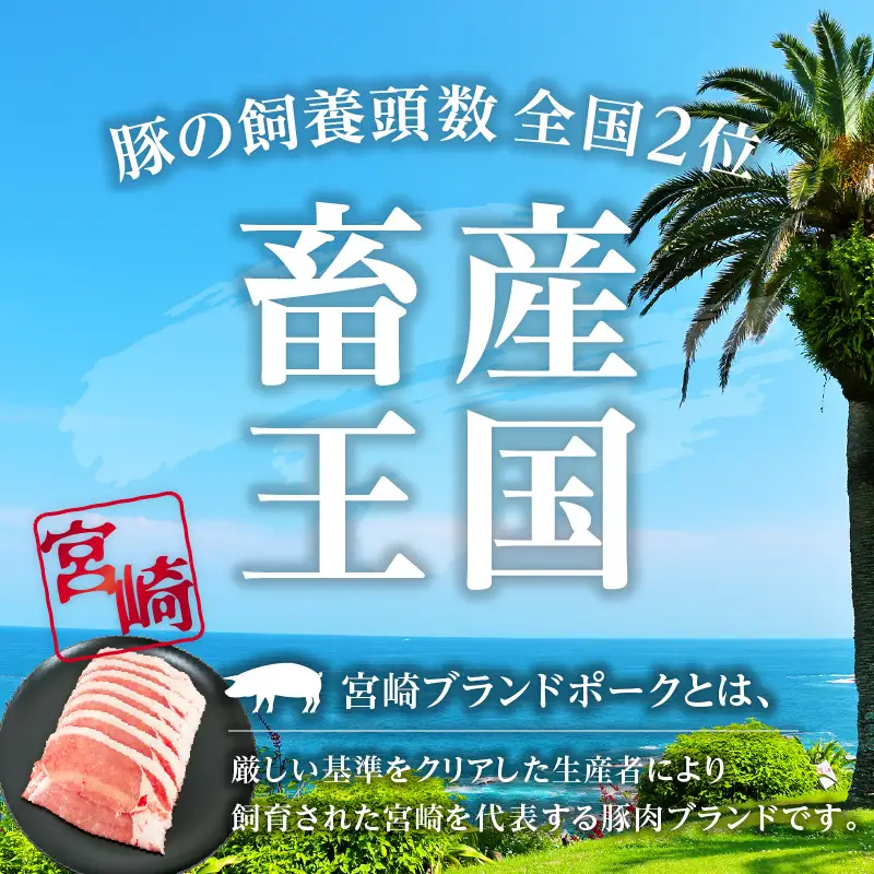 豚肉 しゃぶしゃぶ 豚肉[ロース 1.6kg 宮崎ブランドポーク 約200g×8P]