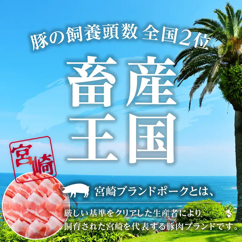 豚肉 しゃぶしゃぶ 豚肉[バラ 1.6kg 宮崎ブランドポーク 約200g×8P]
