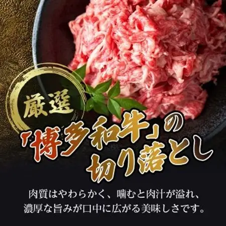 博多和牛切り落とし　600g_肉 黒毛和牛 牛肉 _【配送不可地域：離島】【1514638】