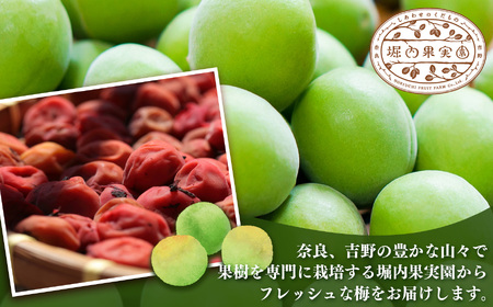 【堀内果実園】特別栽培・青梅・訳あり・B 品（5kg） | 果実 旬 奈良県 五條市