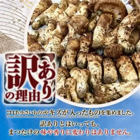 【2026秋発送】【訳アリ】 岩泉まつたけ  300g　家庭用にどうぞ_野菜 松茸 きのこ まつたけ マツタケ_【配送不可地域：離島】【1423709】