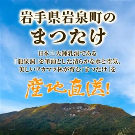 【2026秋発送】≪産地直送≫　岩泉まつたけ 250g_野菜 松茸 きのこ まつたけ マツタケ_【配送不可地域：離島】【1423712】