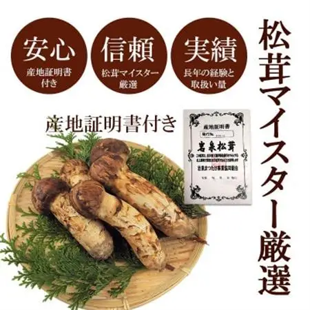 【2026秋発送】松茸マイスター厳選!旬の岩泉産松茸　250g(前後)_野菜 松茸 きのこ まつたけ マツタケ_【配送不可地域：離島】【1516081】