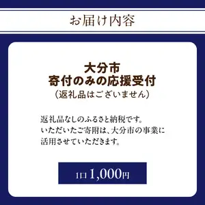 大分県大分市 返礼品なし（寄附のみの受付となります） 一口1,000円 Z03001