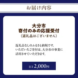 大分県大分市 返礼品なし（寄附のみの受付となります） 一口2,000円 Z03002