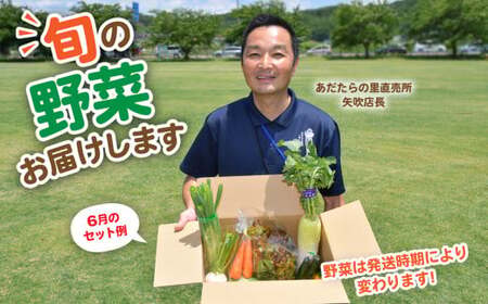野菜セット 10種類前後【先行予約】 野菜