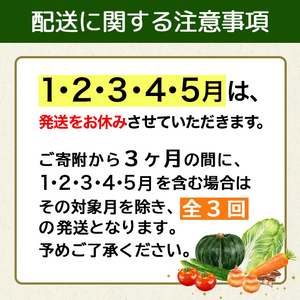 【3回定期便】野菜定期便 野菜セット 3ヶ月 3回 （毎回10種類前後発送）