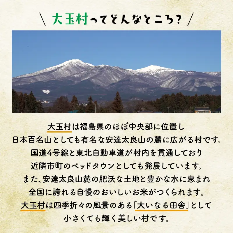 【令和8年分 先行予約】 りんご 約5kg 福島県 大玉村産 林檎 リンゴ サンふじ フルーツ