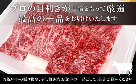 牛肉 あだたら酵母牛（焼肉用）お試し もも 250g 牛肉 牛肉 牛肉