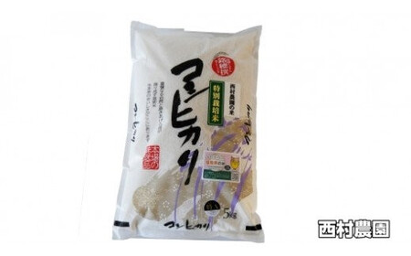 米 定期便 コシヒカリ 30kg ( 5kg × 6ヶ月 ) 《 令和7年 》 福島県 大玉村 西村農園  ｜ こしひかり 精米 定期 6回 福島 コメ 米 定期便 コシヒカリ 福島 米 定期便 コシヒカリ 福島 ｜ nm-kh05-t6-R7