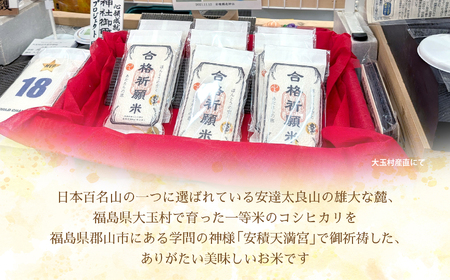 合格祈願米 コシヒカリ 真空米 2合 ( 300g ) × 2個 【令和7年産】 受験 御利益 ご祈祷 合格 合格祈願 小分け 使い切り 5000円 ５０００円以下 福島県 大玉村