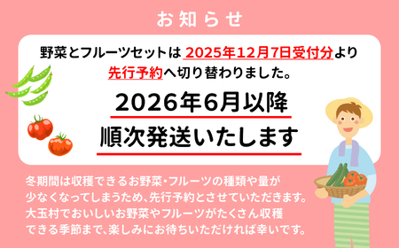 野菜セット 【先行予約】フルーツ入り野菜10種類入り 野菜セット 野菜セット 野菜セット
