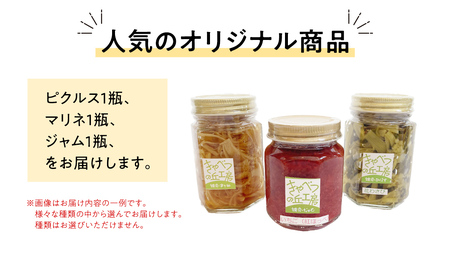 ピクルス 1種 と マリネ と ジャム の 詰め合わせ [AB079tu]