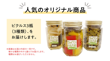 ピクルス 3種 の セット [AB080tu]