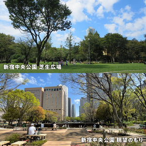 みどり公園基金 1口 1,000円 6004-001-S06