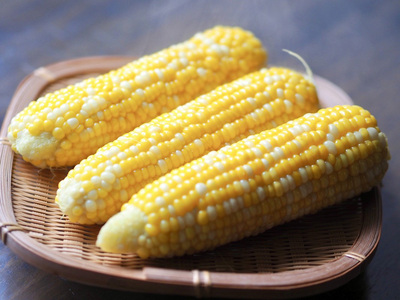 【2026年夏の予約受付開始！】きたむら農園『どきどきコーン』×20本セット（約8～8.5kg相当）信濃町名産とうもろこし／スイートコーンの新定番品種　令和8年7月下旬出荷開始予定！【長野県信濃町ふるさと納税】